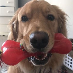 Meet your Posher, Katherine